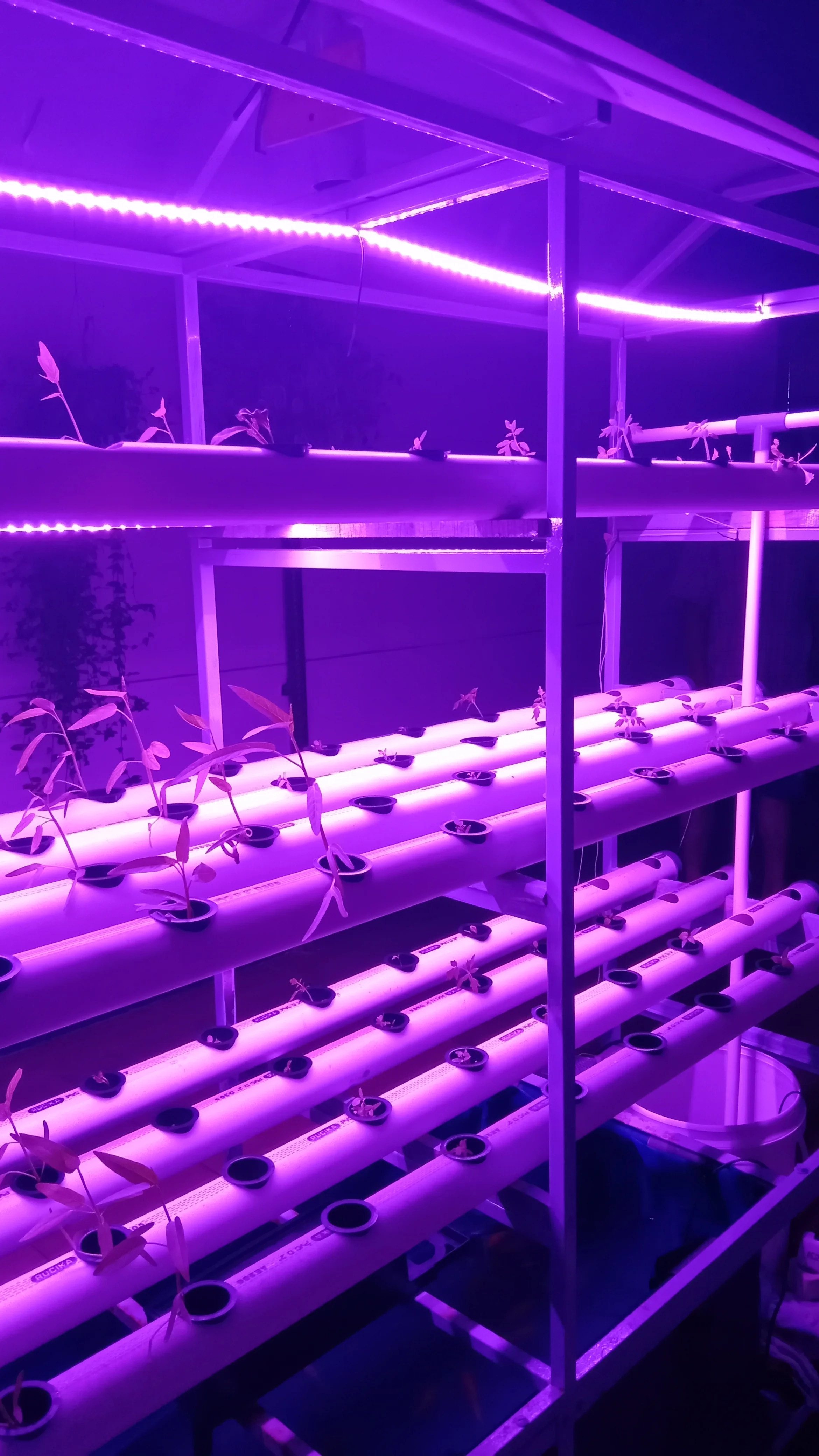 Aquaponics IoT Controller documentation 2