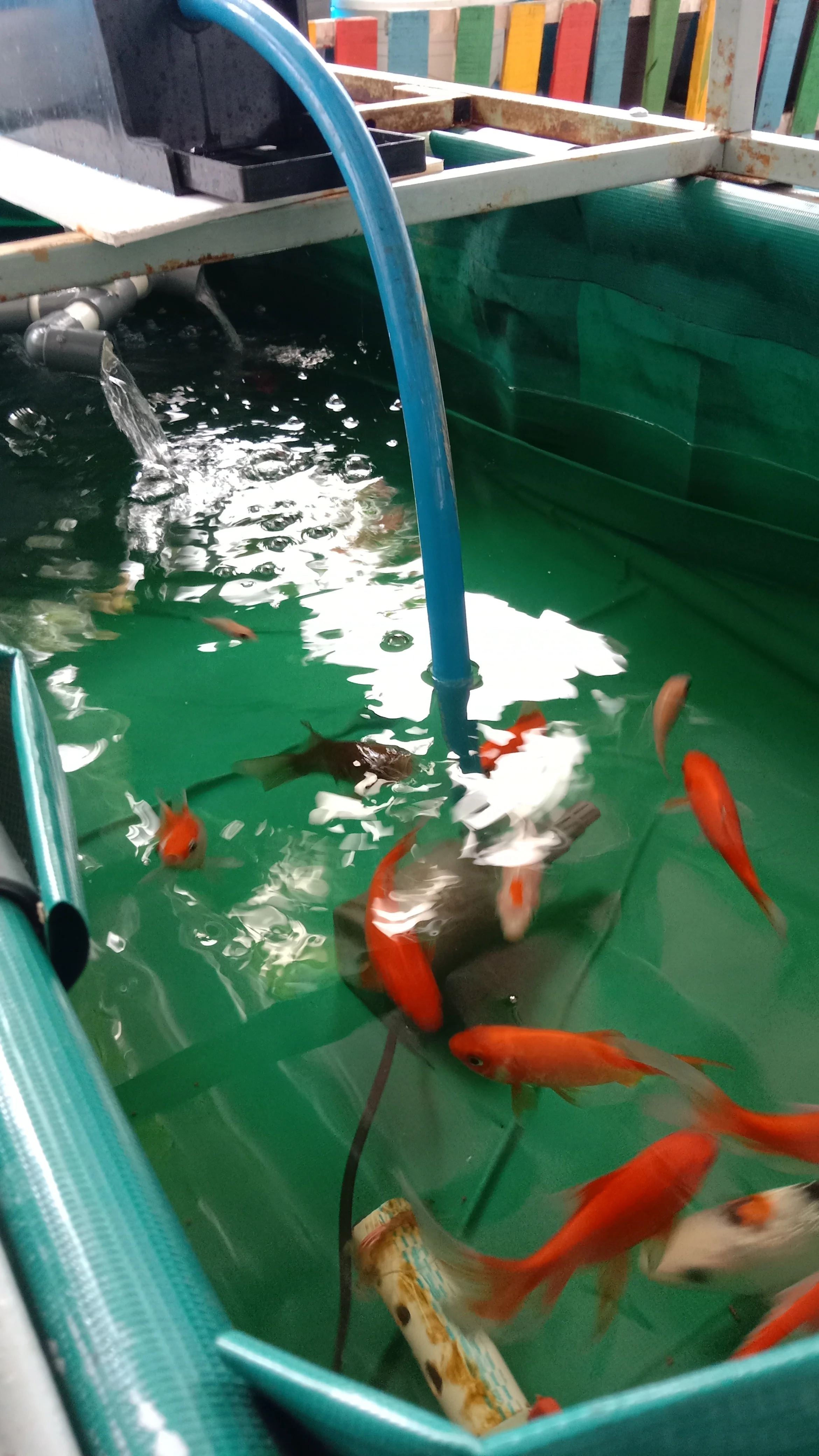 Aquaponics IoT Controller documentation 4